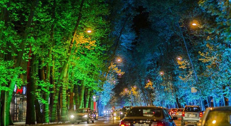 خیابان ولیعصر؛ عکاسی از چنارها