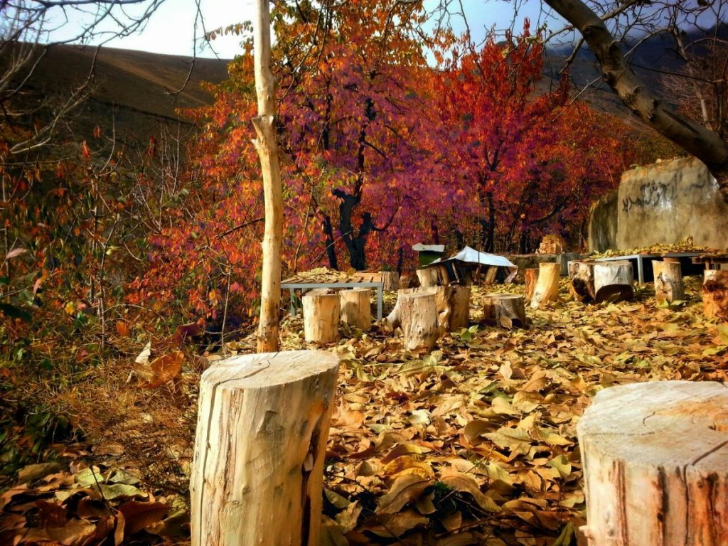عکس پاییزی در اطراف تهران