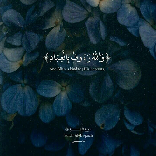 عکس دخترونه شیک و باکلاس برای پروفایل روبیکا