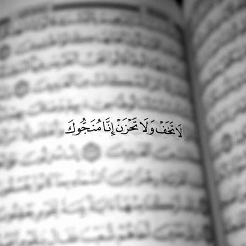 عکس دخترونه شیک و باکلاس برای پروفایل روبیکا