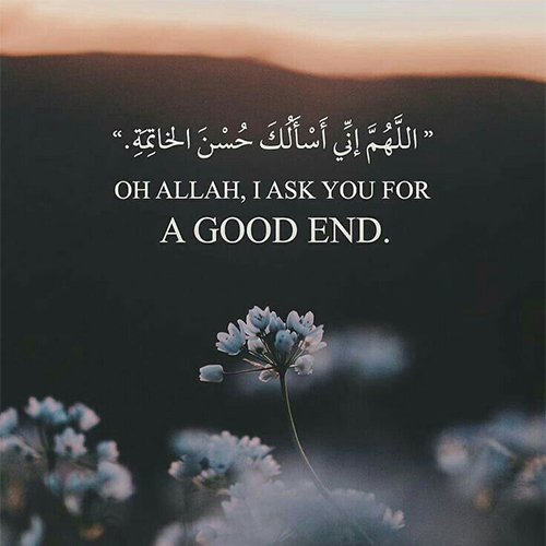 عکس دخترونه شیک و باکلاس برای پروفایل روبیکا