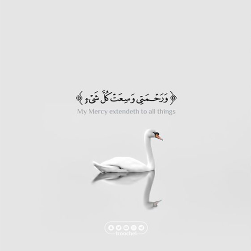 عکس دخترونه شیک و باکلاس برای پروفایل روبیکا