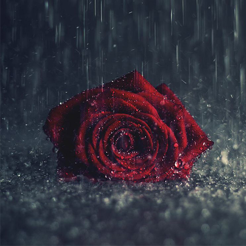 عکس دخترونه شیک و باکلاس برای پروفایل روبیکا