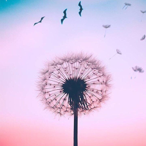 عکس دخترونه شیک و باکلاس برای پروفایل روبیکا