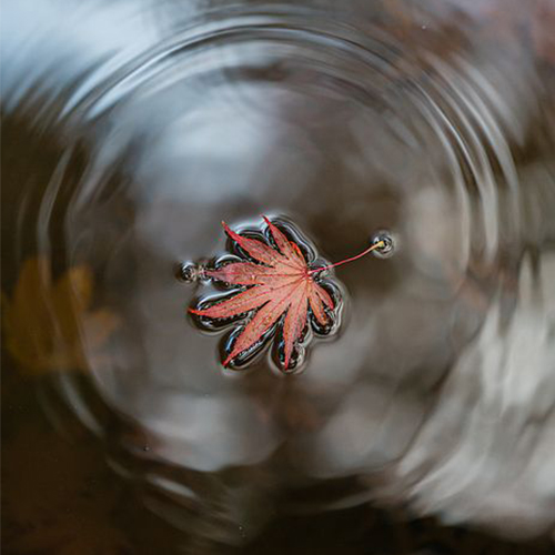 عکس دخترونه شیک و باکلاس برای پروفایل روبیکا