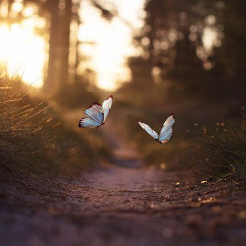 عکس دخترونه شیک و باکلاس برای پروفایل روبیکا