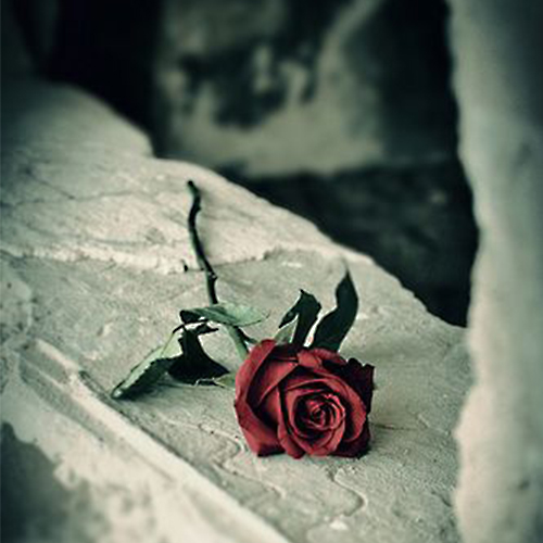 عکس دخترونه شیک و باکلاس برای پروفایل روبیکا