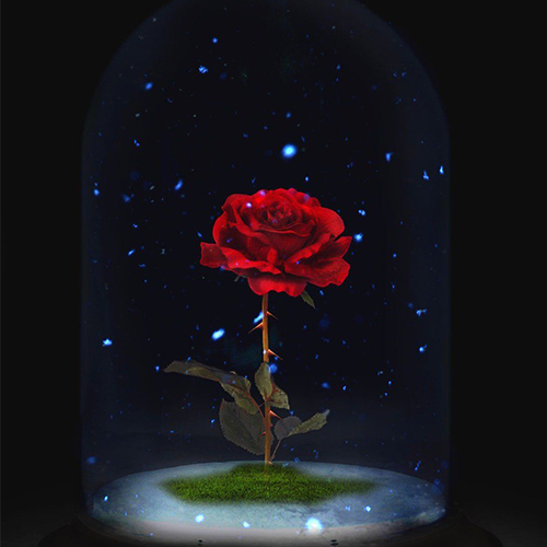 عکس دخترونه شیک و باکلاس برای پروفایل روبیکا