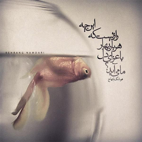 عکس دخترونه شیک و باکلاس برای پروفایل روبیکا