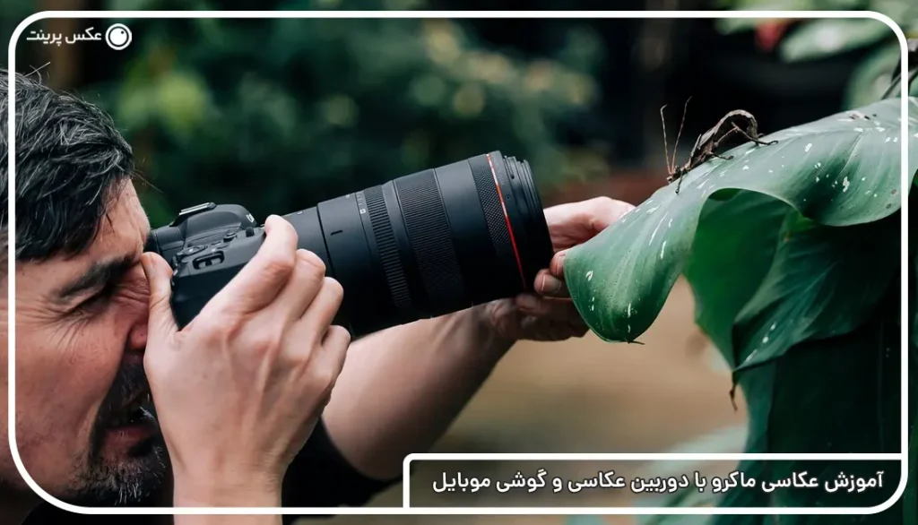 آموزش عکاسی ماکرو با دوربین عکاسی و گوشی موبایل