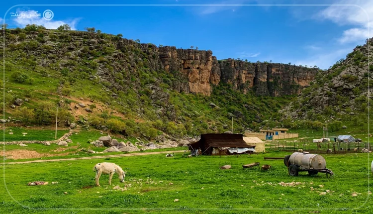 تابستان کجای ایران بریم که خنک باشه؟