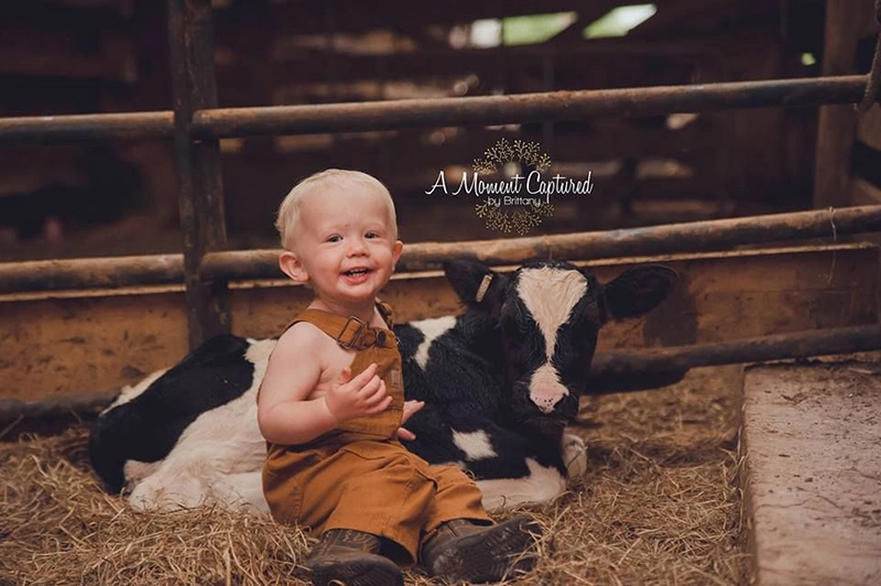نوزادی 6 ماهه در کنار گاو سیاه و سفید در مزرعه