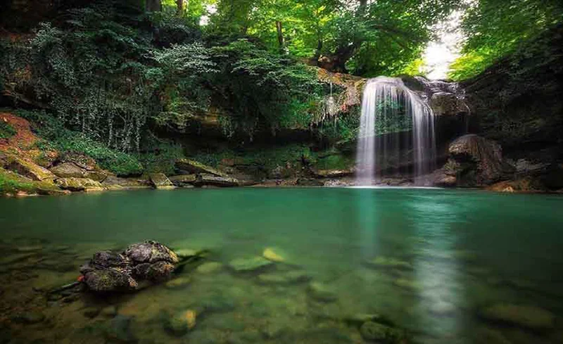 جنگل دالخانی؛ عکاسی در دالان بهشت