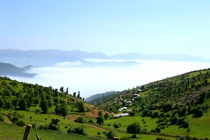 جنگل دُرفَک؛ ثبت زیبایی در مه