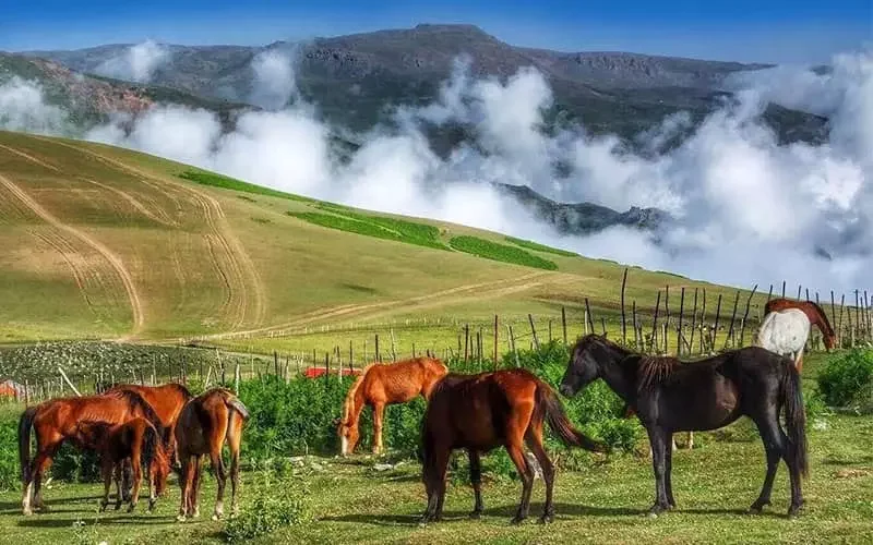 سوباتان؛ عکاسی در ییلاقات تالش